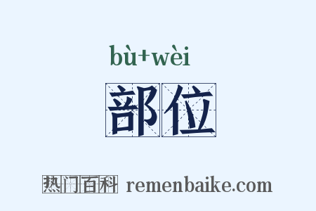 部位是什么意思的图片